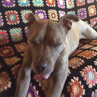 kelly.dragonfly avatar