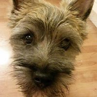 maarika-toivonen avatar