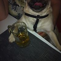 vallery-jeffs avatar