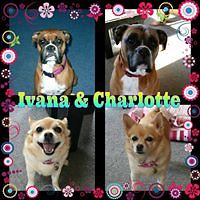 samantha-green-39395 avatar