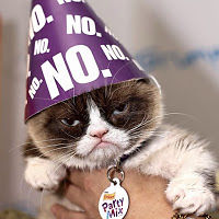 543cd8a8d1c2b avatar