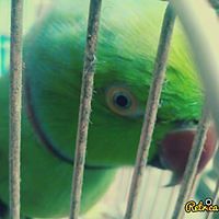 543d0d3c6e139 avatar