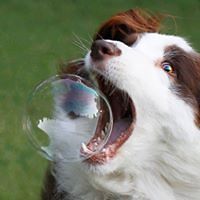 jennie.p.mcgee avatar