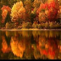 543d40812499f avatar