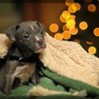 e30gettinsideways avatar