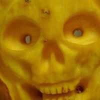 variable.potpourri avatar