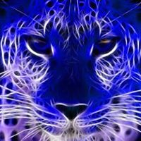 abold.baptiste avatar