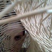 Franceska McCullough