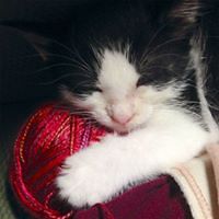 paige.henson1 avatar