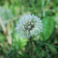 hoainam-do-79 avatar