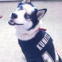 anthony.phillippi.5 avatar