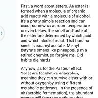 timothypnolan avatar