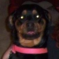 543de1539bcca avatar