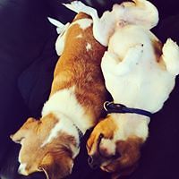 543e8abe68fc8 avatar