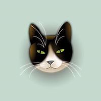 eleonora.derme avatar