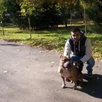 eddie-munteanu avatar