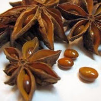 anniefernandez avatar