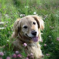 claudia.fahyanderson avatar