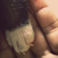 sylvia.yacoub.7 avatar