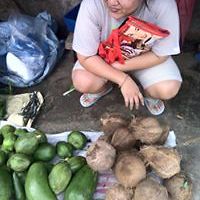 yourpawfriend avatar