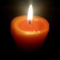 razia-sultana-503 avatar