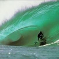 larry.barbera1 avatar