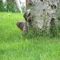 debby-winters avatar