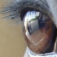 penny.couzens avatar