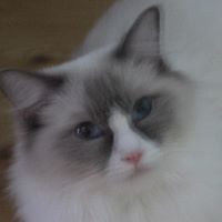 dagmar.mauderova avatar