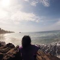 luis.escalante.902 avatar