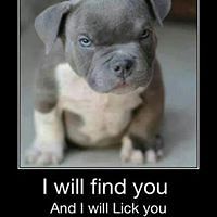 54421ac568a0f avatar