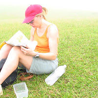 capenoulettebarbizonsylvie avatar