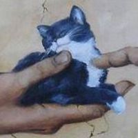 debbie-pugsley avatar