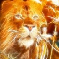 seb.hebert.71 avatar