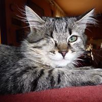 andrew.theboss.1 avatar