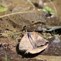 5442e455f3917 avatar