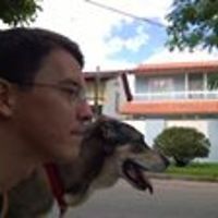 andre.deazevedo avatar