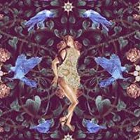 angela.cole.71271 avatar