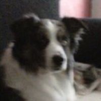 charlene.stafford.5 avatar