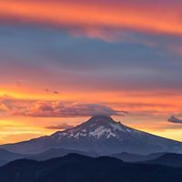 marisa.montgomery.3 avatar