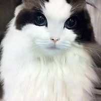 5444fba0bbb5f avatar