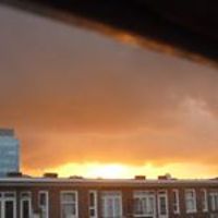 miriam.krekel1 avatar