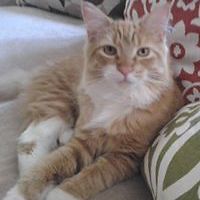 ilda.santos.507 avatar