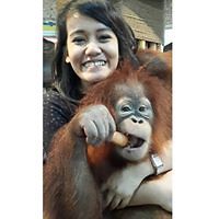 shinta.armeilia avatar