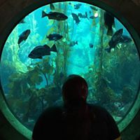 katinthehat42 avatar