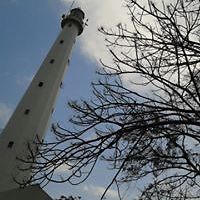 lathiyfah.purnamasari avatar