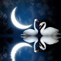 colleenm.nelson.98 avatar