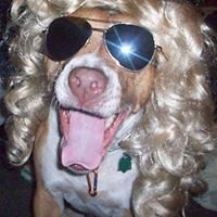 sheila.twomblyjohnson avatar