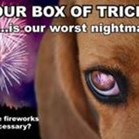 mandy.cullen1 avatar