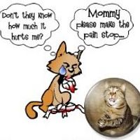 anonymousamputees avatar